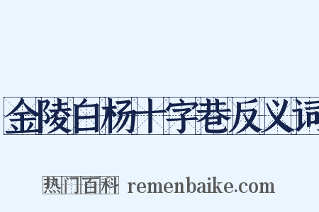 金陵白杨十字巷反义词是什么意思的图片